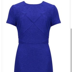 Ted baker blue nedeli dress